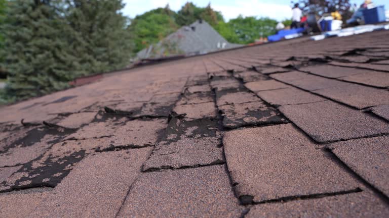 Best Tile Roofing Installation  in Rushford, MN