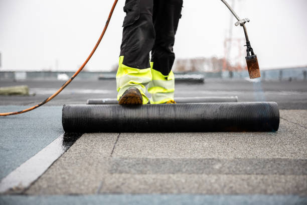 Best Roof Ventilation Installation  in Rushford, MN